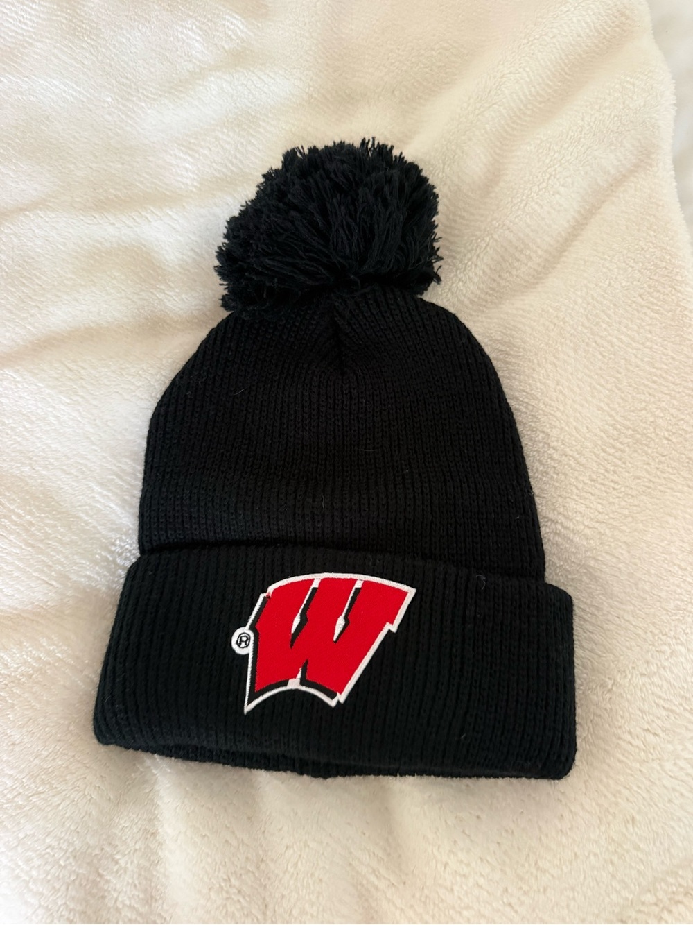 Wisconsin beanie